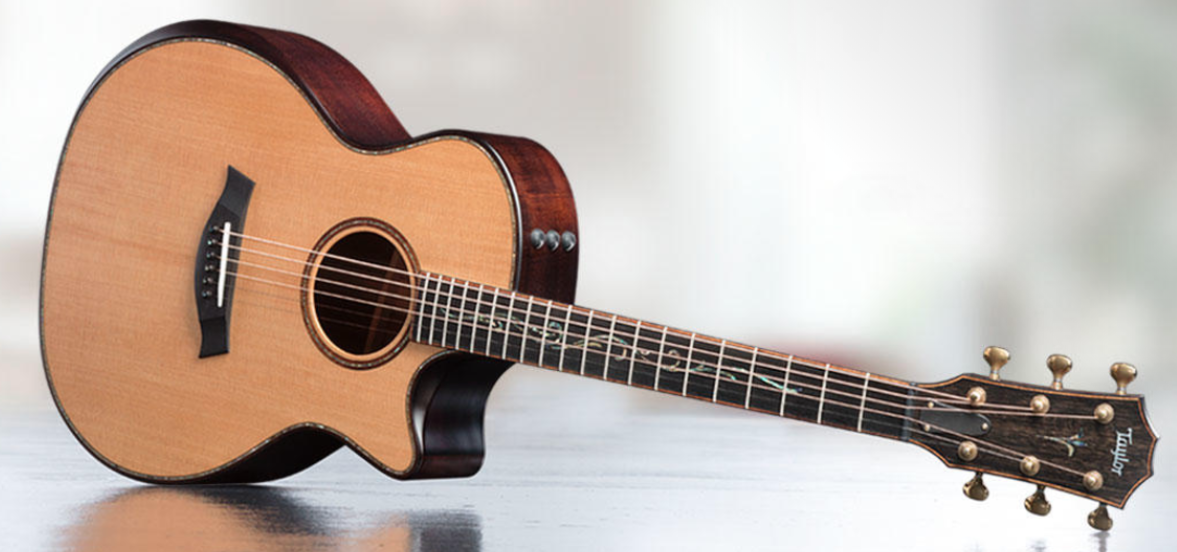 taylor acoustic guitar